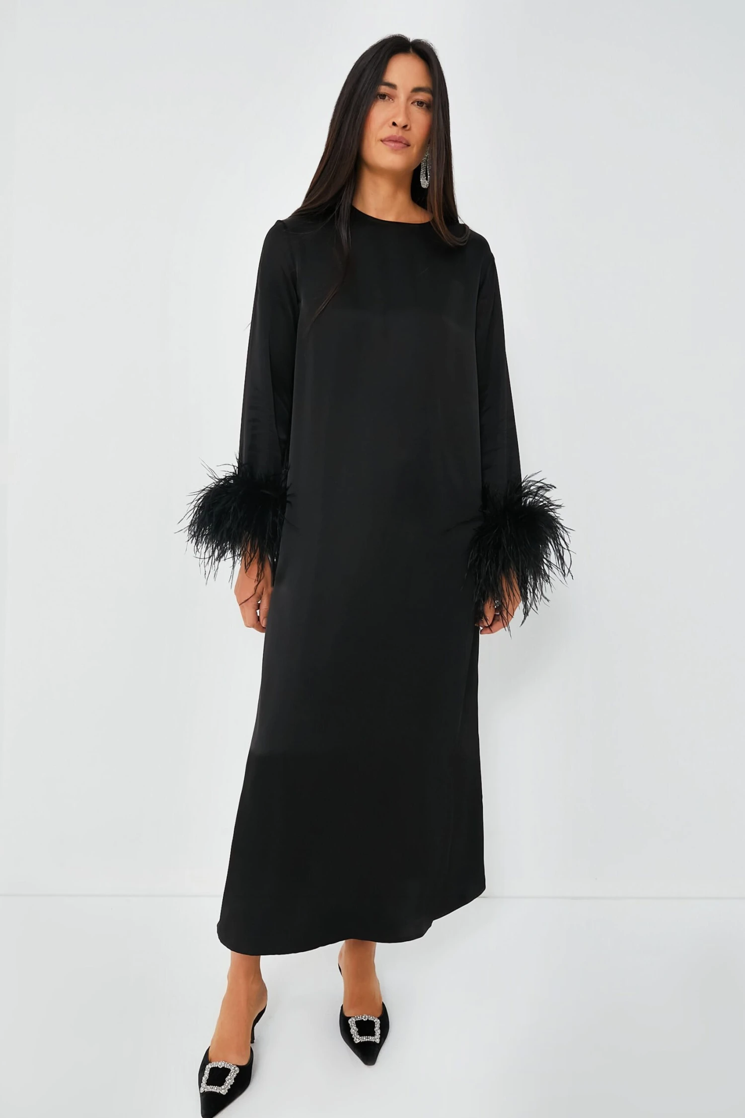 Black Suzi Maxi Dress With Detachable Feathers 4 Black Suzi Maxi Dress With Detachable Feathers - Image 2