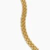 Gold Flat Chain Bracelet -Loeffler Cloth Shop 3HuuJQSldZR6LLZT98oER7PL7PDZoip7 1