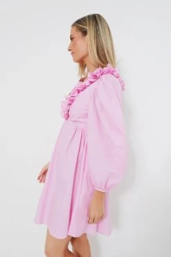 Pink Carianne Mini Dress -Loeffler Cloth Shop 5R03BON20xu2tPjtK46BjRROqcIemNZ5 1