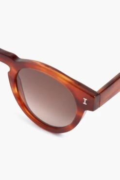 Saffron Havana Leonard Sunglasses 11 Saffron Havana Leonard Sunglasses -Loeffler Cloth Shop 6aN5waLfS2uw2PXSexbdnjU45kd7ejWa 1