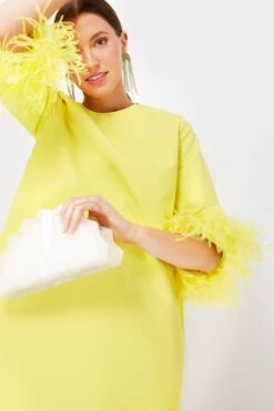 Citron Feather Jamie Dress 14 Citron Feather Jamie Dress -Loeffler Cloth Shop 6pKld81TOiNbXUS54zNHS72U25Tdz2gd 1
