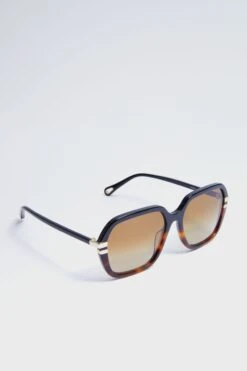 Chloé Havana West Sunglasses -Loeffler Cloth Shop 9779xRqbt7QE7Lb4E2qTN2gnAF55kJVW 1