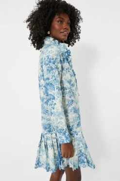 Misty Blue Toile Tate Dress 10 Misty Blue Toile Tate Dress -Loeffler Cloth Shop DdO1ocXnL0HetoTRmmK8TxFmkzi3QJCX 1