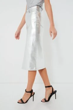 Staud Silver Oaklyn Skirt -Loeffler Cloth Shop FKgKezEtz97uLhW0wiIF4wCZFr7xcnOj 1