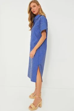 Baleine Stripe Reina Dress -Loeffler Cloth Shop IfVuyHQsHoHe7QPTF7rbztLyyNioe5Nw 1