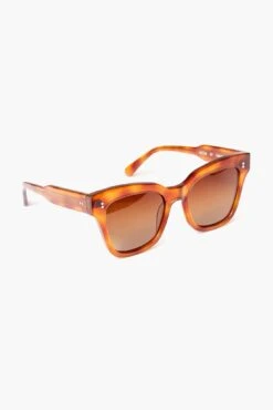 07 Havana Sunglasses -Loeffler Cloth Shop TqNnVxnYfFfAwilDFvEwux5cDLtHyydf 1