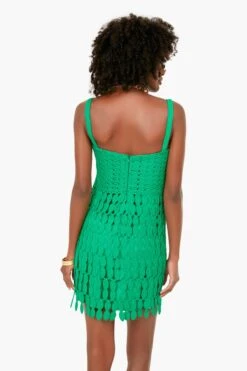 Parakeet Velies Dress -Loeffler Cloth Shop XDouScmav26mlUxlr6KhRC4nuSyyTnTZ 1