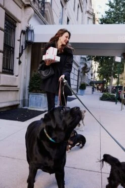 Fur Collar Cecile Swing Cape -Loeffler Cloth Shop aYkpPsWWvicQGHYTY7LQs37rAwjqyZA6 1