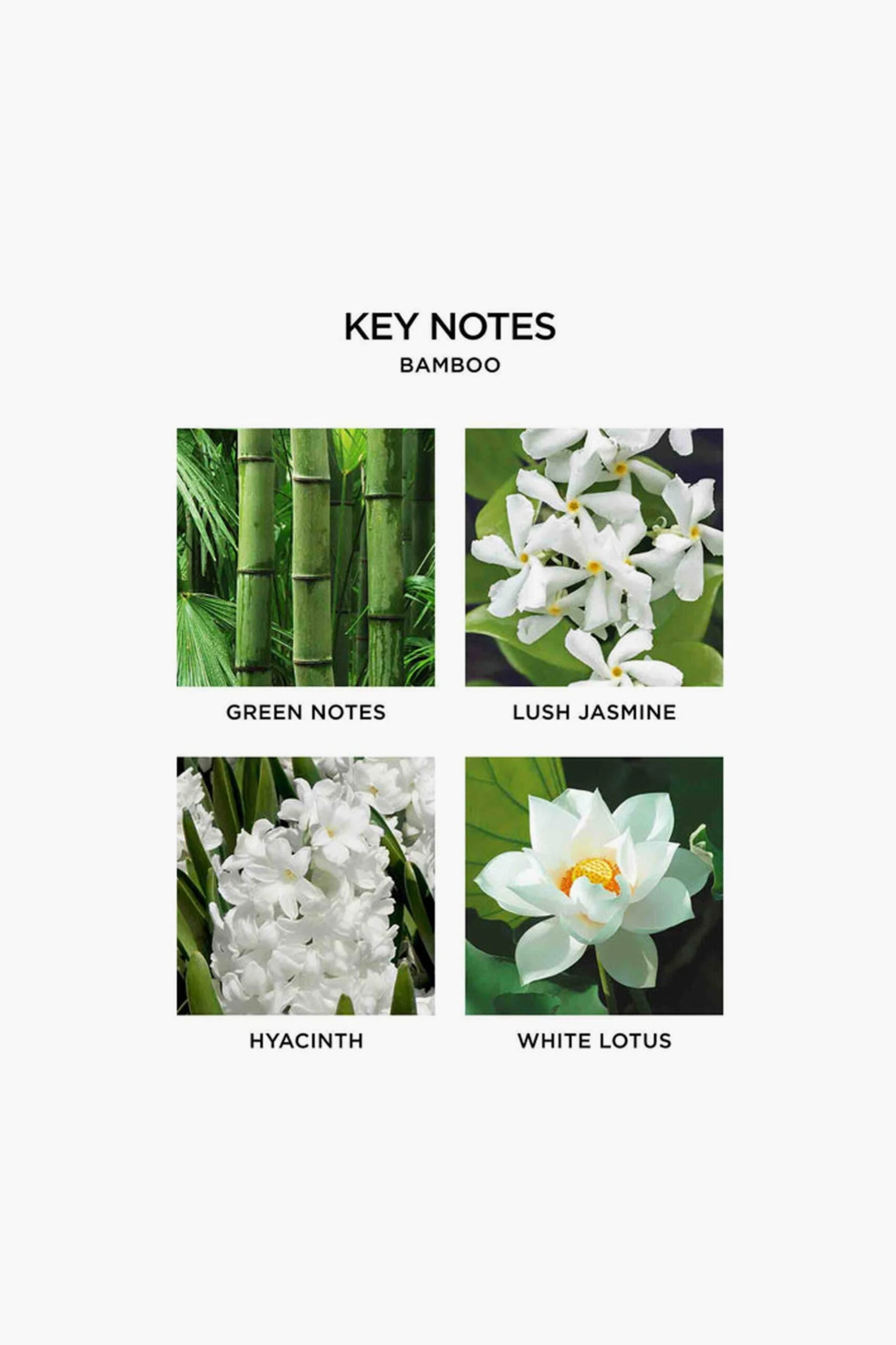 Bamboo Liquid Soap And Lotion Set 4 Bamboo Liquid Soap And Lotion Set - Image 2